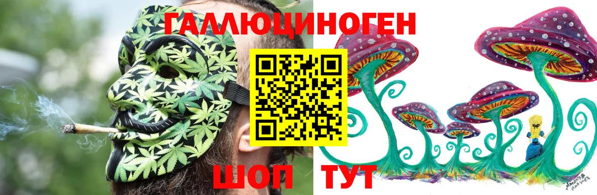 Псилоцибиновые грибы Psilocybine cubensis Верхний Уфалей