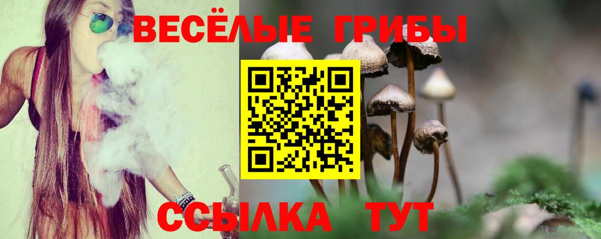 Верхний Уфалей  Галлюциногенные грибы GOLDEN TEACHER  Псилоцибиновые грибы GOLDEN TEACHER  Вход с VPN 